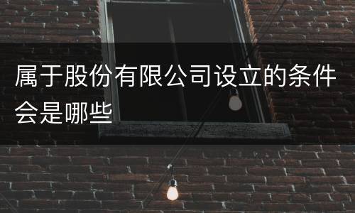 属于股份有限公司设立的条件会是哪些