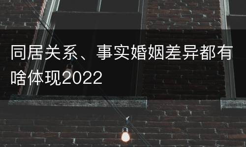 同居关系、事实婚姻差异都有啥体现2022
