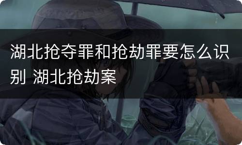 湖北抢夺罪和抢劫罪要怎么识别 湖北抢劫案