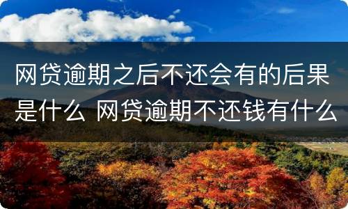 网贷逾期之后不还会有的后果是什么 网贷逾期不还钱有什么后果