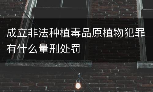 成立非法种植毒品原植物犯罪有什么量刑处罚