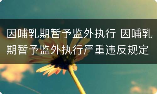 因哺乳期暂予监外执行 因哺乳期暂予监外执行严重违反规定