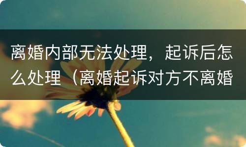 离婚内部无法处理，起诉后怎么处理（离婚起诉对方不离婚怎么办）