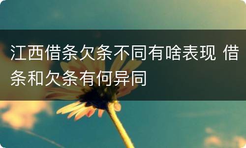 江西借条欠条不同有啥表现 借条和欠条有何异同