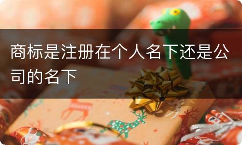 商标是注册在个人名下还是公司的名下