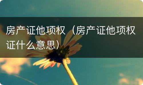 房产证他项权（房产证他项权证什么意思）