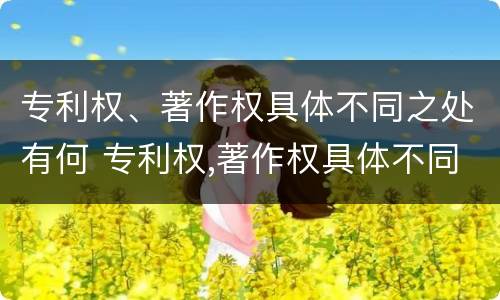 专利权、著作权具体不同之处有何 专利权,著作权具体不同之处有何意义