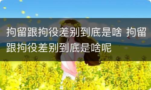 拘留跟拘役差别到底是啥 拘留跟拘役差别到底是啥呢