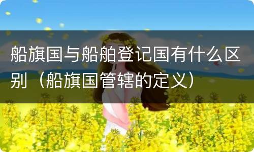 船旗国与船舶登记国有什么区别（船旗国管辖的定义）