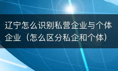 辽宁怎么识别私营企业与个体企业（怎么区分私企和个体）