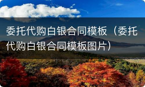 委托代购白银合同模板（委托代购白银合同模板图片）