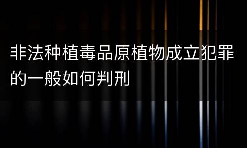 非法种植毒品原植物成立犯罪的一般如何判刑