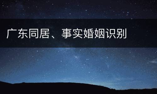广东同居、事实婚姻识别