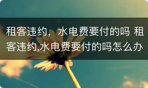 租客违约，水电费要付的吗 租客违约,水电费要付的吗怎么办