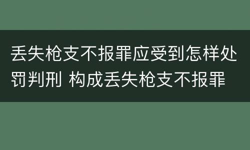 丢失枪支不报罪应受到怎样处罚判刑 构成丢失枪支不报罪