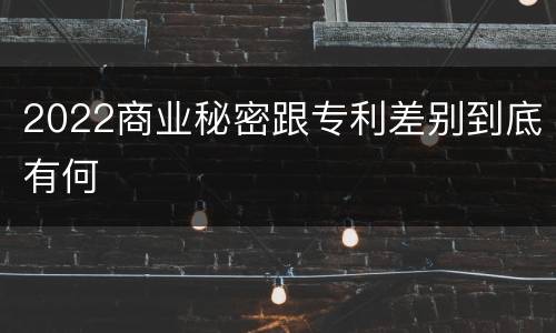 2022商业秘密跟专利差别到底有何