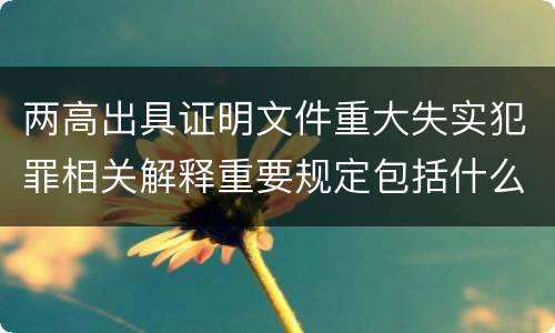 两高出具证明文件重大失实犯罪相关解释重要规定包括什么