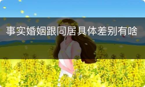 事实婚姻跟同居具体差别有啥