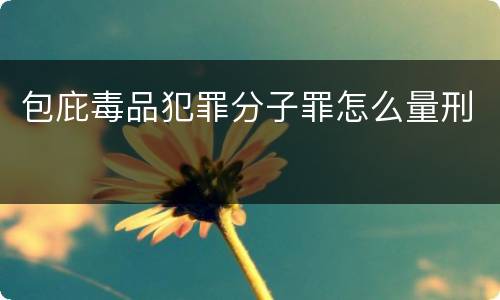 包庇毒品犯罪分子罪怎么量刑