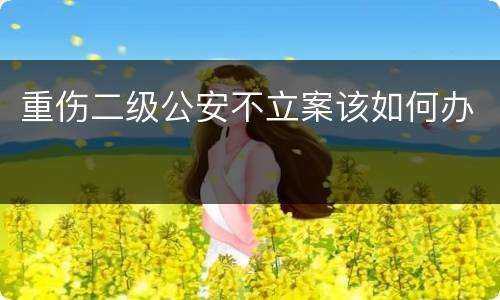 重伤二级公安不立案该如何办