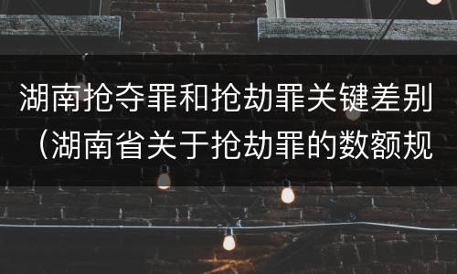 湖南抢夺罪和抢劫罪关键差别（湖南省关于抢劫罪的数额规定）