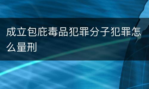 成立包庇毒品犯罪分子犯罪怎么量刑