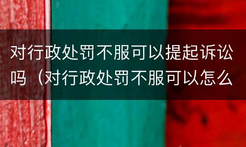 对行政处罚不服可以提起诉讼吗（对行政处罚不服可以怎么办）