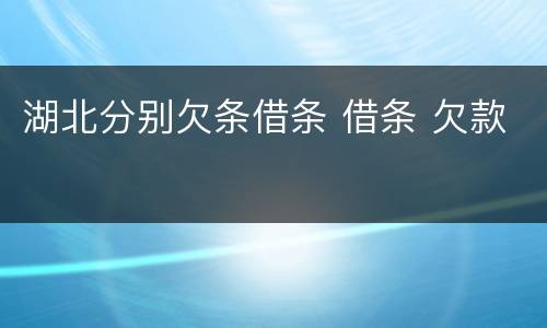 湖北分别欠条借条 借条 欠款