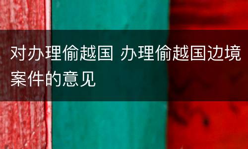 对办理偷越国 办理偷越国边境案件的意见