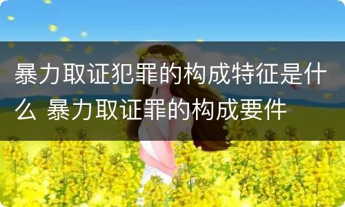 暴力取证犯罪的构成特征是什么 暴力取证罪的构成要件