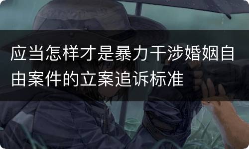 应当怎样才是暴力干涉婚姻自由案件的立案追诉标准