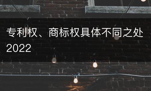 专利权、商标权具体不同之处2022