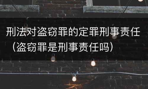 刑法对盗窃罪的定罪刑事责任（盗窃罪是刑事责任吗）