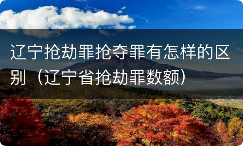 辽宁抢劫罪抢夺罪有怎样的区别（辽宁省抢劫罪数额）