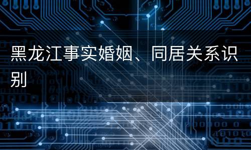 黑龙江事实婚姻、同居关系识别