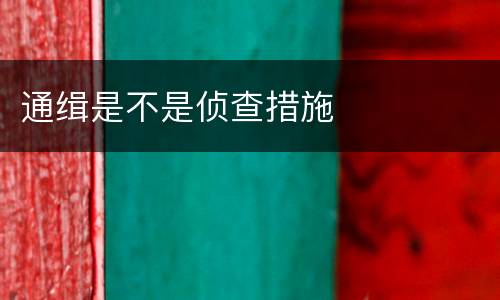 通缉是不是侦查措施