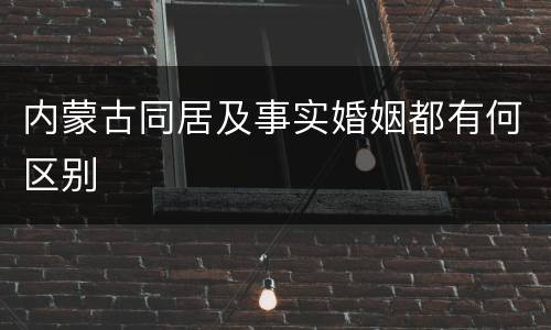 内蒙古同居及事实婚姻都有何区别