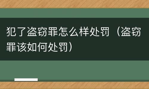 犯了盗窃罪怎么样处罚（盗窃罪该如何处罚）