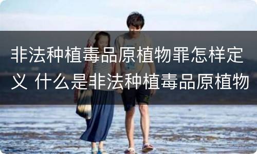非法种植毒品原植物罪怎样定义 什么是非法种植毒品原植物罪