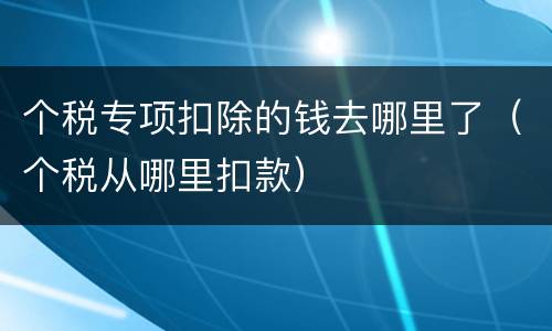 个税专项扣除的钱去哪里了（个税从哪里扣款）