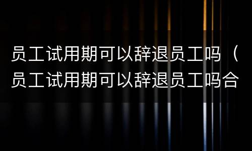 员工试用期可以辞退员工吗（员工试用期可以辞退员工吗合法吗）