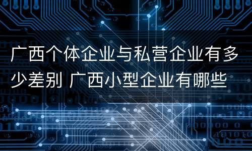 广西个体企业与私营企业有多少差别 广西小型企业有哪些