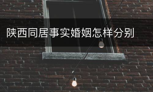 陕西同居事实婚姻怎样分别
