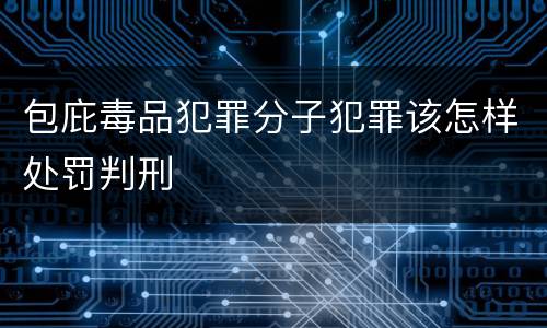 包庇毒品犯罪分子犯罪该怎样处罚判刑