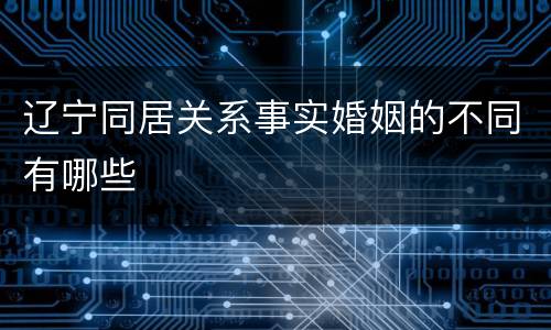 辽宁同居关系事实婚姻的不同有哪些
