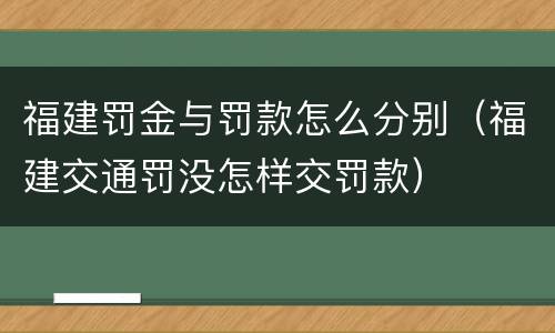 福建罚金与罚款怎么分别（福建交通罚没怎样交罚款）