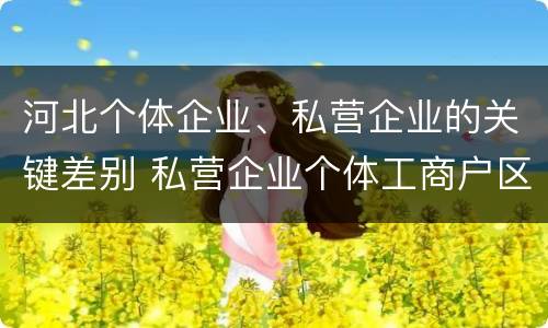 河北个体企业、私营企业的关键差别 私营企业个体工商户区别