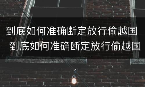 到底如何准确断定放行偷越国 到底如何准确断定放行偷越国境的人员