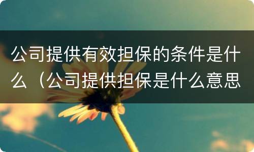 公司提供有效担保的条件是什么（公司提供担保是什么意思）