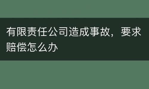 有限责任公司造成事故，要求赔偿怎么办